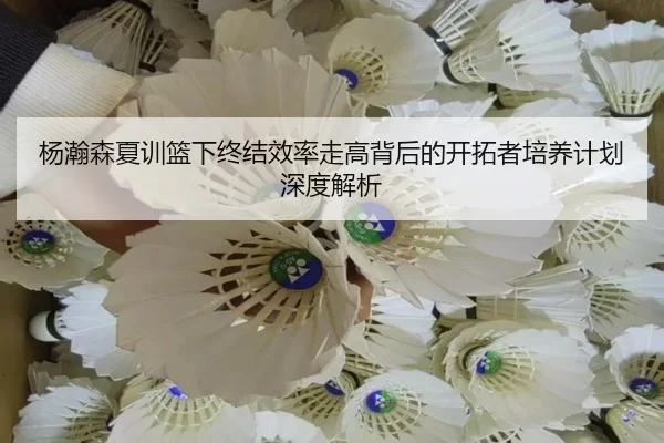 杨瀚森夏训篮下终结效率走高背后的开拓者培养计划深度解析